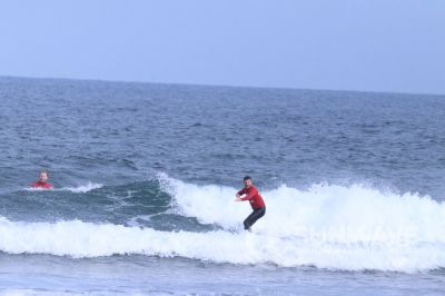 IMG 8554